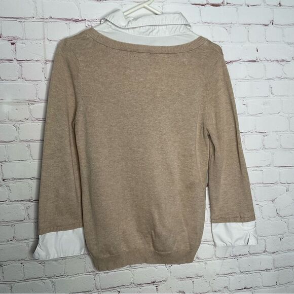 Notations Womens Sweater Faux Collar Cuff Knit Owl Print Top - Picture 9 of 10